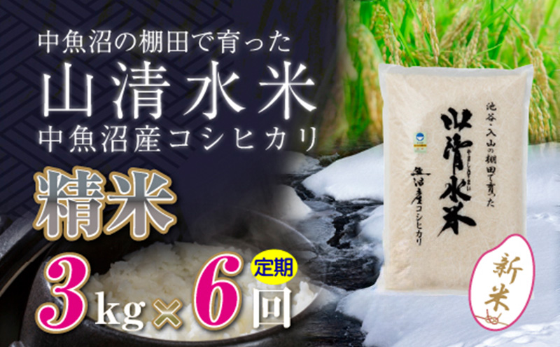 【令和6年産】【定期便／全6回】精米3kg　新潟県魚沼産コシヒカリ「山清水米」十日町市 米