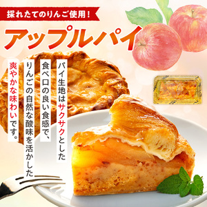 【定期便】 6ヶ月 訳あり アップルパイ & チーズケーキ おまかせ ケーキセット 1kg×6回 ケーキ