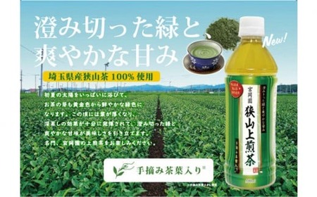 狭山上煎茶 500ml ペットボトル | お茶 ペットボトル お茶 ペットボトル お茶 ペットボトル お茶 ペットボトル お茶 ペットボトル