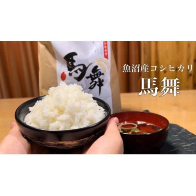 ふるさと納税 十日町市 【毎月定期便】魚沼産コシヒカリ[馬舞] 白米 5kg全6回 |  | 01