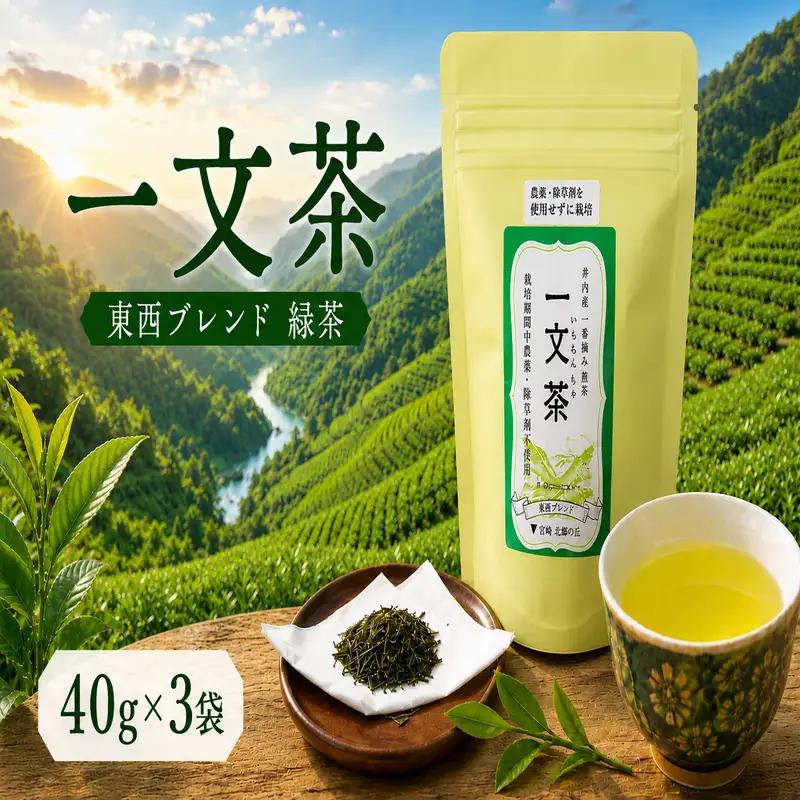〈 新茶 〉 緑茶 東西ブレンド 40g × 3袋 茶葉 【 一文茶 】