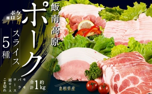 飯南高原ポークお試し5種セット　【 国産 島根県産 豚 肉  鍋 バーベキュー BBQ 冷凍 個包装 小分け 真空パック 豚ロース 豚ばら 豚肩ロース 豚もも 豚こま 切落し スライス 便利 人気 セット 詰め合わせ 1kg】Ａ-75