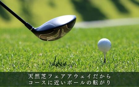 ゴルフ ピアゴルフガーデン　練習場利用券38000円分【piag0001-4】