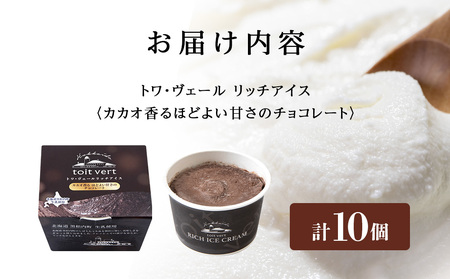 リッチアイスクリーム カカオ香るほどよい甘さのチョコレート 10個セット（100ml）