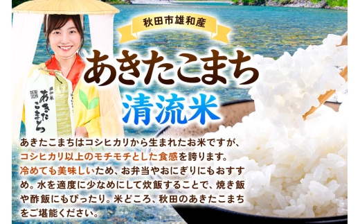 令和8年産 《定期便9ヶ月》あきたこまち・ひとめぼれ・サキホコレ 食べ比べセット 6kg（各2kg）【白米】秋田県産 [秋田 食べ比べ お米 精米 小分け 定期便 個包装 2kg袋]