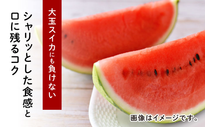 【先行予約】ひとりじめBonBonリッチ～黒皮小玉 スイカ 2玉～【とみおか農園】 [ZEM002]