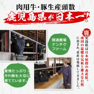 【志布志市制20周年記念】4等級以上の国産牛肉！鹿児島黒毛和牛高級部位 800g b45-001