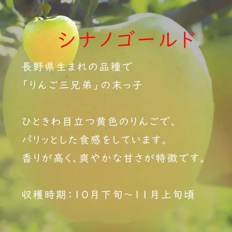 【2026年 先行予約 令和8年産】長野 麻績村 りんご 期間限定 特選品 3kg ギフト 自宅用 贈り物 自宅用にも ギフトにも 堤 みどりや シナノゴールド 産地直送 新返礼品