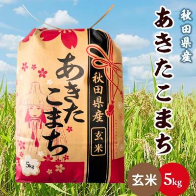 ふるさと納税 潟上市 【毎月定期便】秋田県産あきたこまち 5kg(玄米)全12回