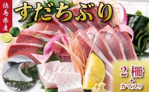 すだちぶり 2柵 カマ入り 10月から11月末まで発送 すだち ぶり 鰤 刺身 ぶりしゃぶ 切り身 さしみ カマ ぶりかま ご飯 米 こめ 丼 柑橘 塩 焼き ブランド 鮮度 新鮮 下処理済み 簡単 国産 うなぎ 鮭 カツオ まぐろ みかん に負けない 徳島 鳴門 なると