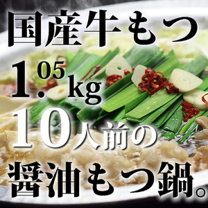 国産牛もつ1kgオーバー！ 九州醤油もつ鍋 10人前 [牛もつ1.05kg／九州醤油スープ付] 