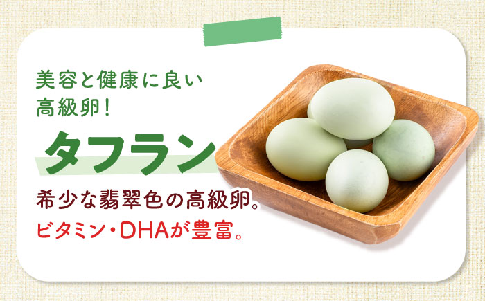 【全6回定期便】安田養鶏場の卵 3種セット しおさい アトムくん タフラン 30個入り（各10個入り） 横須賀市 産地直送 たまご 黄身 濃厚 卵 玉子 タマゴ 鶏卵  【安田養鶏場】 [AKHN01