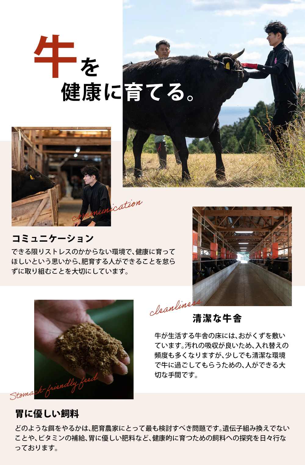 美熊野牛 すき焼き しゃぶしゃぶ用 ロース＆赤身モモ肉 詰め合わせ 800g(400g×2) 牛肉 肉 ブランド牛 和牛 黒毛和牛 国産牛 すき焼き しゃぶしゃぶ 赤身 赤身肉 人気 希少 おすすめ 三重県 熊野市【okad0003】