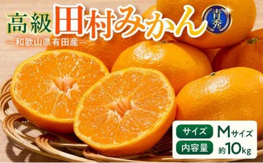 
                  【2026年先行予約】「高級 田村みかん」 青秀 約10kg Mサイズ 和歌山県有田産 有田みかん【ミカン 蜜柑 柑橘 温州みかん 和歌山産 有田みかん】_U6245
                