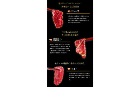 馬刺し7部位堪能セット 約510g タレ付き 馬肉 冷凍 《60日以内に出荷予定(土日祝除く)》 新鮮 さばきたて 生食用 肉 熊本県球磨郡山江村 馬刺し 馬肉 希少部位 タタキ 赤身 霜降り ロース