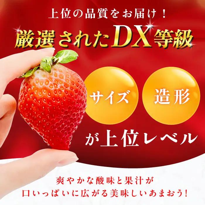 【3回定期便】いちご（あまおう）3ケース / いちご 苺 イチゴ[AFAB082]