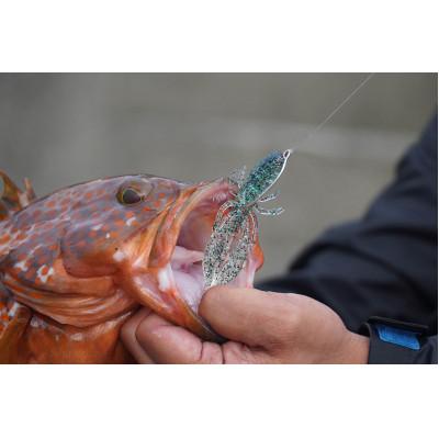 ふるさと納税 飯塚市 RUDIE‘Sのハタ喰い・蝦 3.0inch 5カラーセレクトセット(5袋) 釣り具 ルアー |  | 01