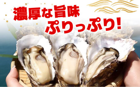 【訳あり】冷凍牡蠣 殻付き 2kg [XAO065]