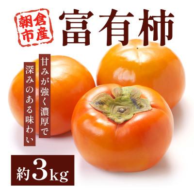 ふるさと納税 朝倉市 朝倉産　富有柿　約3kg(朝倉市)