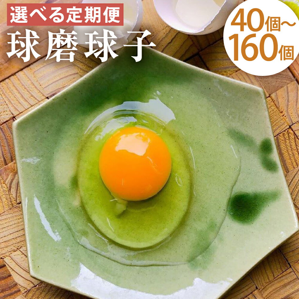 【ふるさと納税】【選べる定期便】球磨球子 40個/60個/80個/160個 3ヶ月/6ヶ月/12ヶ月 選べる内容量 定期便 九州産 熊本県産 人吉 鶏卵 卵 たまご 生卵 玉子 卵焼き 焼酎粕 濃厚 送料無料
