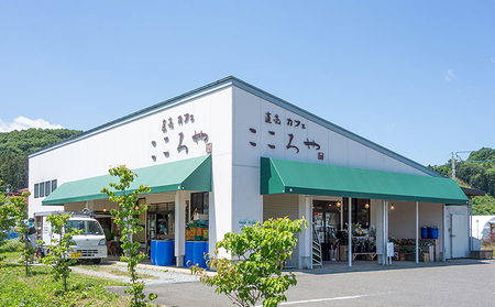 【こころん】 安全・安心 福島の恵み 『季節の野菜詰合せ』 セット 朝採れ 福島県産 新鮮 