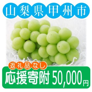 山梨県甲州市への応援寄附１口50,000円【返礼品なし】F-50000