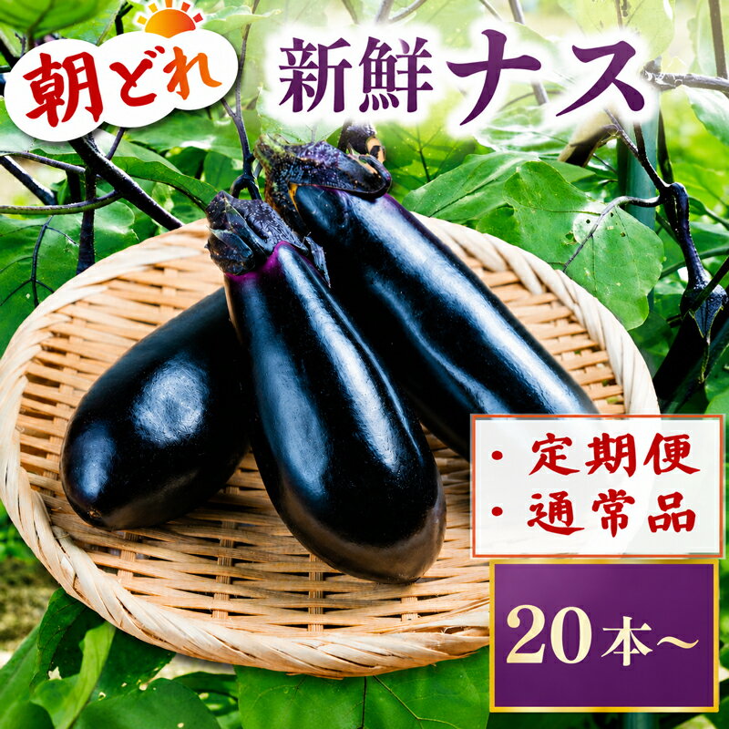 【ふるさと納税】 【先行受付】 2026年11月から順次配送 新鮮 なす 生産量日本一 茄子 選べる内容量 通常品 定期便 野菜 やさい 産地直送 朝採り 採りたて 先行予約 期間限定 旬の野菜 高知県 安田町 20本 50本 2回定期便