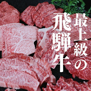 飛騨牛　贅沢食べ比べ12種いろいろ焼肉