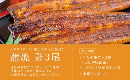 【鹿児島県産 鰻】うなぎ専門店「万のせ」 うなぎ蒲焼3尾（手焼き）ジューシー スタミナ ウナギ 鰻 蒲焼き 国産 ギフト 鰻重 うな重 たれ ひつまぶし 土用丑の日 山椒 冷凍 簡単調理 贈り物 南さ