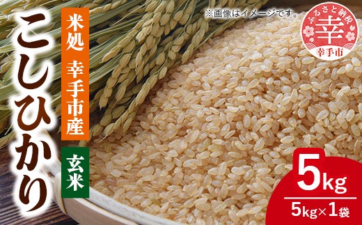 令和8年幸手産 こしひかり【玄米】5kg×1袋 - コシヒカリ 玄米 5kg 令和8年産 埼玉県 幸手市 幸手市産