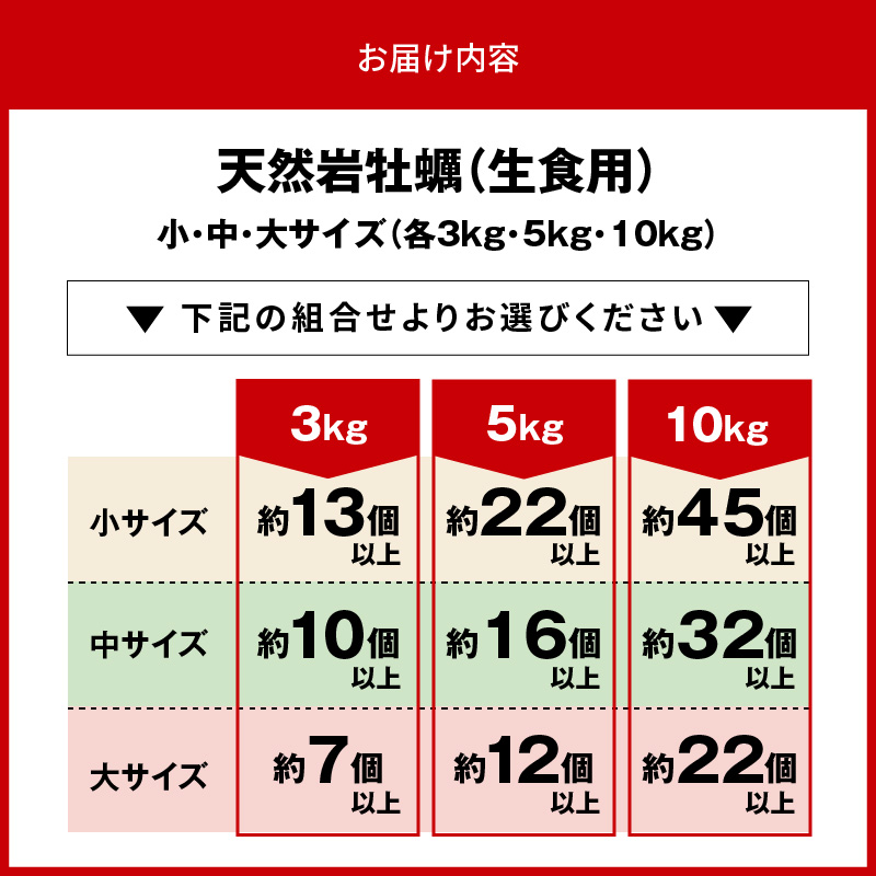 延岡産天然岩牡蠣（生食用）3kg（大）（2025年4月から発送開始） N036-YZA527_イメージ5