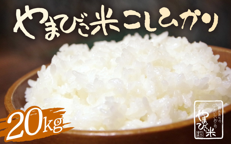 
            【先行予約】【令和8年産・新米】米 コシヒカリ 10kg × 2袋 計20kg 新庄やまびこ米（白米）【2026年10月以降順次発送予定】 [m23-e002]
          