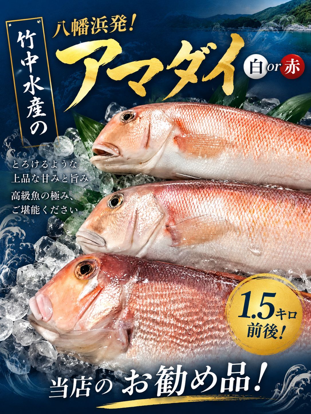【ふるさと納税】竹中水産の「甘鯛(赤又は白)1.5キロ前後」【H22-261】_ 鯛 タイ たい 甘鯛 鮮魚 天然 魚介 魚介類 海鮮 冷蔵 活き 愛媛 八幡浜 産直 産地直送 国産 高級魚 グルメ 【配送不可地域：離島・北海道・沖縄県】【1075513】YWTM079