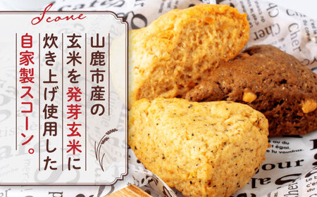 山鹿の恵み香り豊かなスコーンセット（3種類×2個）【BANBA BON BONS】[ZDW005]