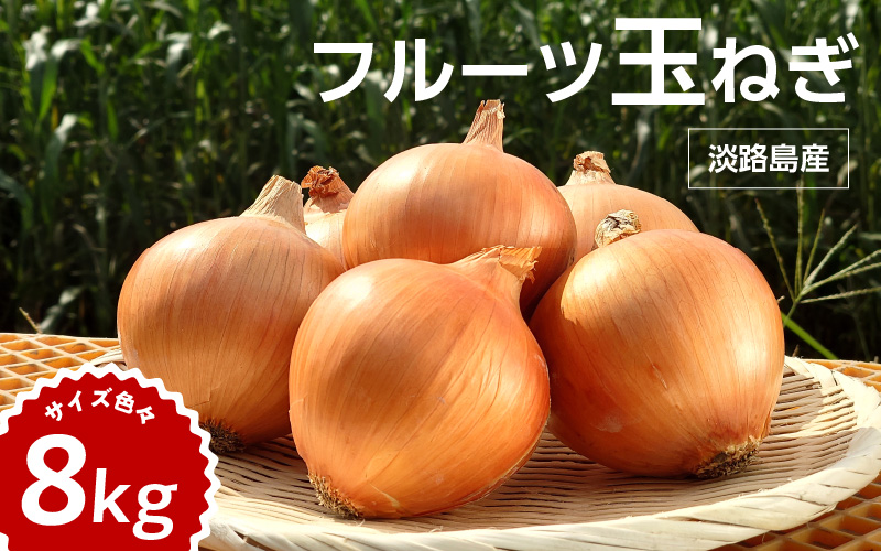【 6月11日まで「新玉ねぎ」を受付 】フルーツ玉ねぎ8kg【サイズ色々】