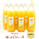 【ふるさと納税】honey＋はっさくジュース 1000ml×6本 村上養蜂《30日以内に出荷予定(土日祝除く)》和歌山県 紀の川市