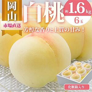 【2026年発送】岡山県産　白桃6玉(1.6kg以上)　化粧箱入り【配送不可地域：離島・北海道・沖縄県】【1281362】