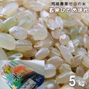 【ふるさと納税】玄米ひとめぼれ5kg 農薬アレルギーの方でも安心！「残留農薬0の米」 令和6年産