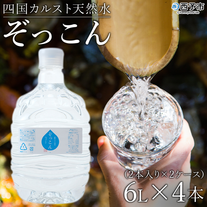 ＜四国カルスト天然水ぞっこん (6L×2本)×2ケース 計4本＞ 飲料 水 みず 中硬水 弱アルカリイオン水 ガロンボトル ウォーター バナジウム 備蓄 防災 キャンプ アウトドア 国産 特産品 ぞっ