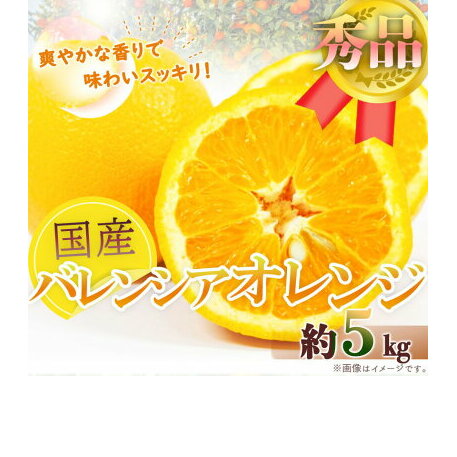 G7079_希少な国産バレンシアオレンジ 5kg 秀品_イメージ5