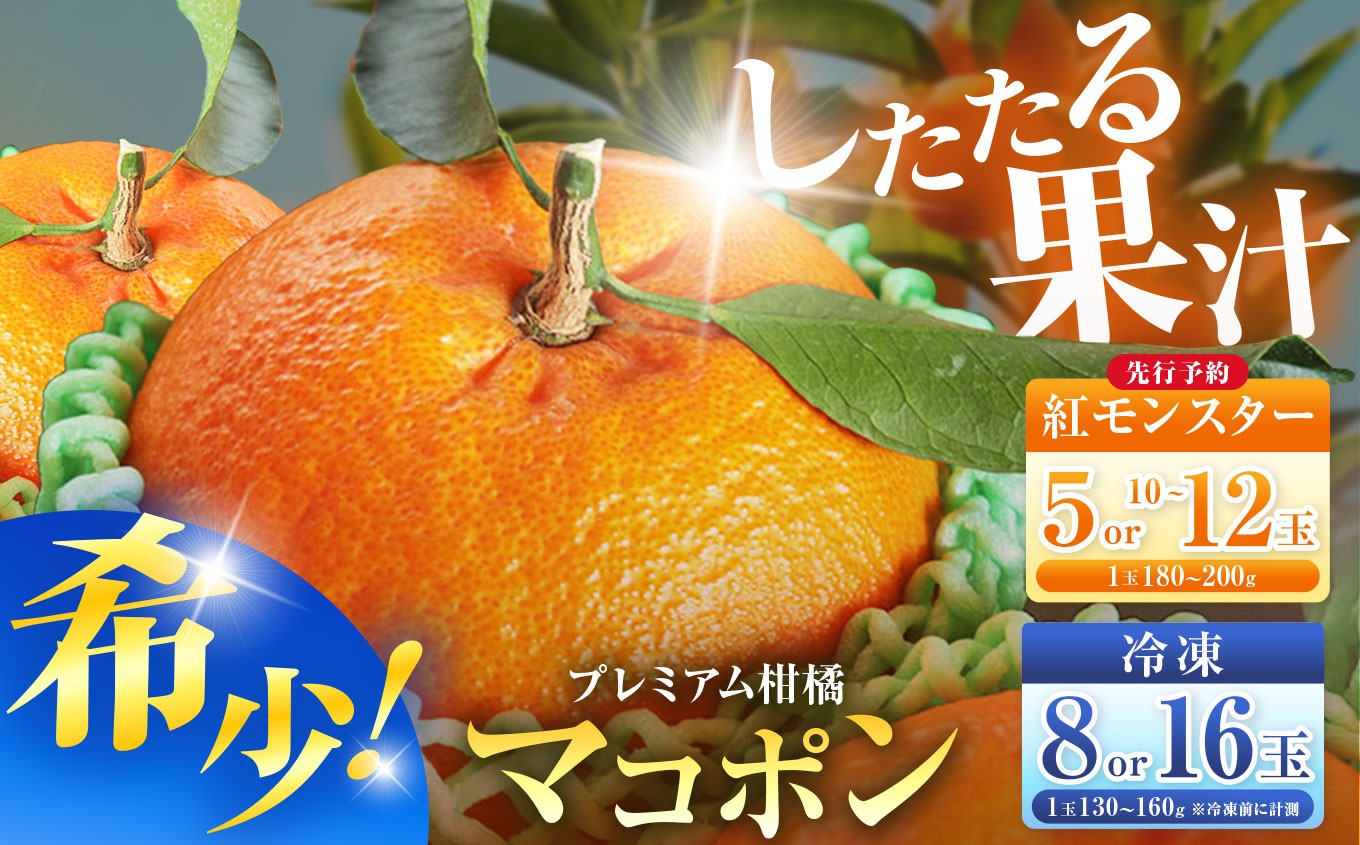 
                  【先行予約】【選べる種類・内容量】紅モンスター マコポン（生・冷凍 / 5玉〜16玉 / 贈答用あり）| フルーツ 果物 くだもの 果実 柑橘 柑橘類 まこぽん マコポン オレンジ ゼリーオレンジ 不知火 国産 中津市産 産地直送 大分県 中津市
                