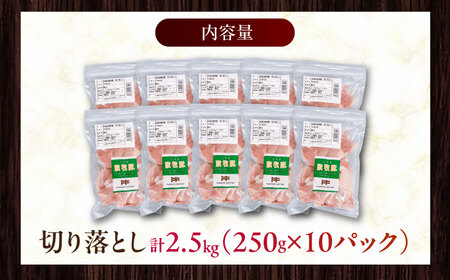 放牧豚 切落し 計2.5kg（250g×10）《厚真町》　【ファーマーズファクトリー株式会社】[AXBA120]