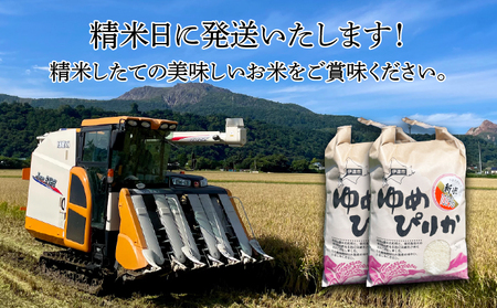 【令和5年度】 北海道 伊達産 ゆめぴりか 5kg 精米