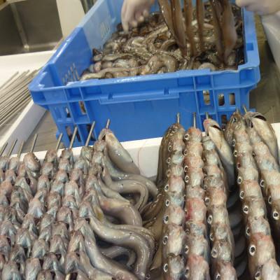 ふるさと納税 上越市 〜日本海　名立の海の贈り物〜　名立のかあちゃん手作り干物　深海魚の幻魚の干物2袋 |  | 02