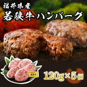 ハンバーグ 5個 極上の味！「福井県産若狭牛ハンバーグ 600g(120g × 5個)」 精肉店自慢のちょっと贅沢ハンバーグ 和牛 国産牛肉 冷凍便