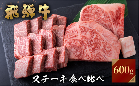 【2週間～発送】飛騨牛 ステーキ  2種食べ比べ 計600g  牛肉 ステーキ [S464]
