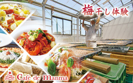 カフェドマンマ食事券1500円分＆梅干し作業体験チケット  iwasho008