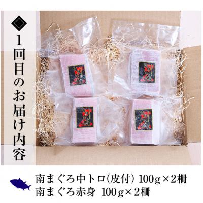 ふるさと納税 いちき串木野市 【3か月定期便】極上天然南まぐろ贅沢コース |  | 01