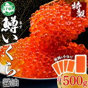 【ふるさと納税】 年内配送 12月15日まで受付 2487. 鱒いくら醤油漬け 計500g 100g×5パック 北海道産 鱒いくら 小分け いくら イクラ 醤油漬け 鱒 マス 魚卵 海鮮 手巻き寿司 人気 お取り寄せ グルメ ギフト 贈答用 お歳暮 お中元 正月 お祝い 送料無料 北海道 弟子屈町