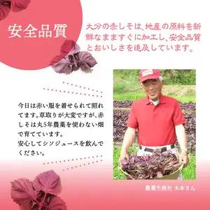赤しそジュース　無糖タイプ　900ｍｌ×6本 F10015
